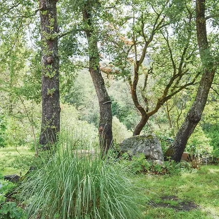 In Di Paraso With Wifi Сasa de vacaciones *